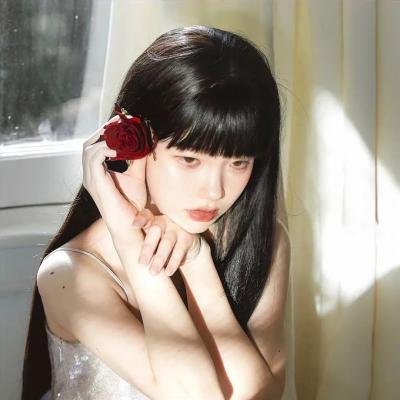 猫和老鼠：海盗寻宝